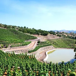 Farm stay La Gelsomina - Etna